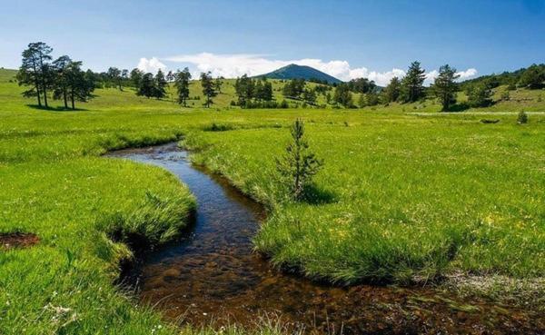 Villa Ducic Zlatibor Ngoại thất bức ảnh